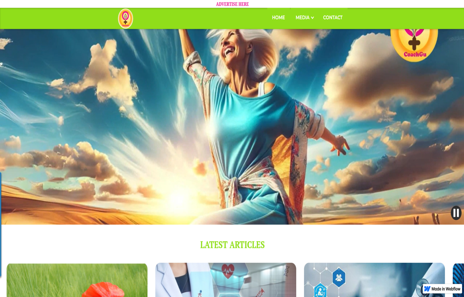Web Project